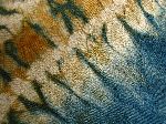 West African tie-dye brocade cloth