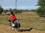 Bicycling with zebra, Mahango NP, Namibia