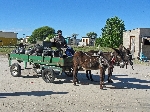 Garbage collection wagon, Etsha 13, Botswana