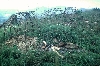 Bafoussam-Bafut road: Fulani camp