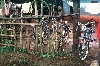Bafoussam-Bafut road: bike rack
