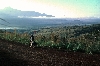 Jakiri-Foumban road