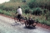 Cameroonian bicyclist with trailer