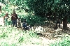 Family weaving baskets