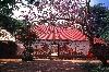 Fon of Bafut palace: 
