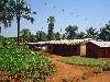 Ndop: typical housing