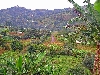 Jakiri-Kumbo road