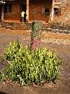Fon of Nso's Palace: first courtyard for public meetings