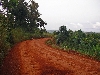Jakiri-Kumbo road