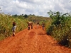 Jakiri-Foumban road: people head-carrying wood