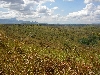 Jakiri-Foumban road: Nun Valley