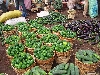 Foumbot market: green peppers and eggplant