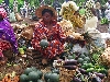 Foumbot market: fruit seller