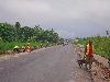 Road construction crew in safety vests