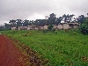 Loum-Kumba road: rubber plantation worker housing
