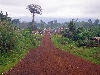 Loum-Kumba road: Ebonji town