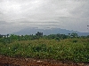 Kumba-Buea road: Mt. Cameroon emerges under the clouds