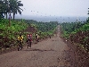 Kumba-Buea road: beginning the climb up the base of Mt. Cameroon.