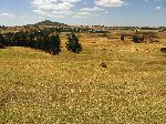 Village near Highway 3, Abyssinia plateau, Ethiopia