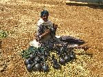 Local pottery, MukeTuri market, Ethiopia