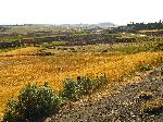 Highway 3 and farmland, west of Fiche, Ethiopia