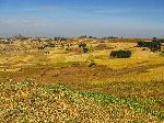 Saalalii plateau, Gohatsion, Ethiopia