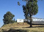Eden's Milk sign (dairy farm), Sulutan, Ethiopia