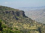 Terraced hillside, Jemma Gorge, Debra Libanos, Ethiopia