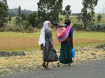Highway 3 btw Ali Doro and Gihotsion, Ethiopia
