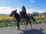 Horseman, Ethiopia
