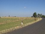 Highway 3, btw Amanuel and the Temcha River, Ethiopia