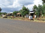 Charcoal for sale, Mankusa, Ethiopia
