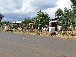 Charcoal for sale, Mankusa, Ethiopia