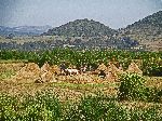 Volcanic cider cone, Ethiopia