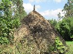 traditional house, Agaw Awi National Zone, Ethiopia