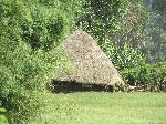 Traditional house, Agaw Awi National Zone, Ethiopia
