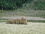 haystacks, Agaw Awi National Zone, Ethiopia