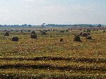 haystacks, Highway 3, north of Dangla, Ethiopia
