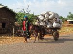 donkey cart hauling charcoal, Ethiopia
