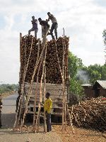 loading truck with eucalyptus poles, Ethiopia