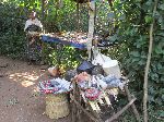 Souvenir seller, Beta Maryam Monastery, Lake Tana, Ethiopia