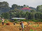 Rural Orthodox church, north of Bahir Dar, Ethiopia