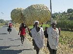 People carrying super large baskets, Ethiopia