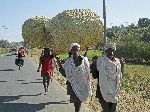 People carrying super large baskets, Ethiopia