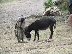 Older woman and donkey, Awra Amba Community, Ethiopia