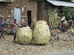 Super large baskets, Ethiopia