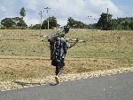 Boy carrying building materials, China Road, B-22, Ethiopia