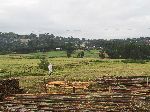 Vista, China Road, B-22, Ethiopia