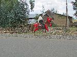 Horse in regalia and rider, China Road, B-22, Ethiopia