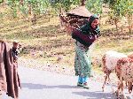 Girl back-carrying load, China Road, B-22, Ethiopia